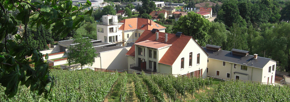 Weingut Schloss Johannisberg